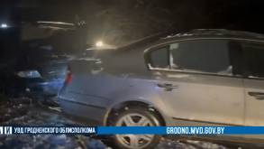 Под Гродно прямо на трассу упало дерево — разбиты два автомобиля