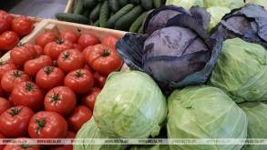 Профсоюзы рассказали, какие овощи подорожали в Беларуси