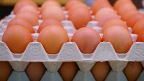 Цены на яйца в мире достигли 10-летнего максимума. Насколько они подорожали в Беларуси