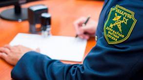 «Ответственность будет касаться и вас»: белорусские таможенники рекомендуют не подбирать незнакомцев для пересечения границы