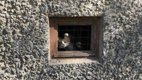 В Гродно кот застрял в металлической решетке в окне подвала. На помощь пришли спасатели