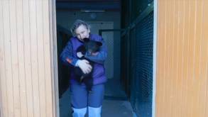 В Гродненском зоопарке неожиданное пополнение — туда «подкинули» двух гималайских медвежат