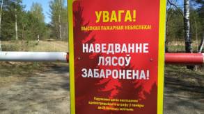 Вот и все: почти по всей Гродненской области посещение лесов строго запрещено