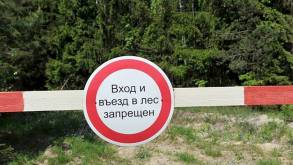 Практически вся страна в «красной зоне» — в Беларуси запрещено посещать леса, иначе штраф
