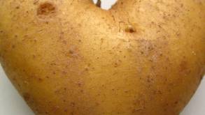 Почти полкило картошки и 100 граммов сахара каждый день. Как в глазах Минсельхозпрода выглядит рацион белорусов?