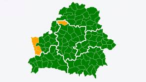 Ограничения на посещение лесов действуют в пяти районах Беларуси: четыре из них находятся в окрестностях Гродно