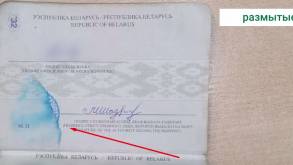 Пограничники показали, с какими паспортами белорусам не получится пересечь границу