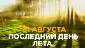 Вырастут пенсии, увеличатся пособия на детей, пересчитают тунеядцев: что изменится в Беларуси с 1 августа 2023
