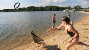 Можно ли плавать на пляже с собакой? Что говорит закон
