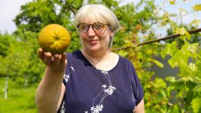 Апельсиновый рай в Острово: гродненка переехала в деревню, чтобы выращивать экзотические фрукты