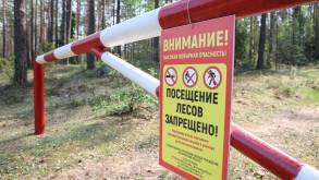 Больше всего запретов на посещение лесов сегодня зафиксировано в Гродненской области