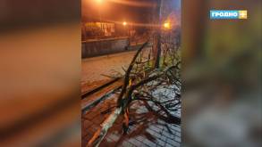Сильный ветер стал причиной ЧП в Гродно и области: оранжевый уровень опасности продлен и на четверг