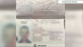 С каким паспортом могут быть проблемы на границе в Беларуси?