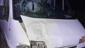 Трагедия на трассе под Лидой: во время дождя в темноте микроавтобус сбил женщину, которая шла по центру дороги