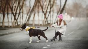 Оказывается, есть исключения: участковый рассказал, может ли ребенок самостоятельно выгуливать собаку