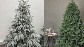Перед Новым годом мошенники взялись за старое — «продают» белорусам очень дешевые елки в Instagram