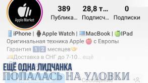 «Apple с Европы»: лидчанка клюнула на цену в Instagram и лишилась денег