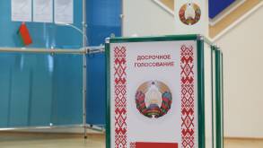 ЦИК: за три дня проголосовала почти четверть белорусов, обладающих правом голоса