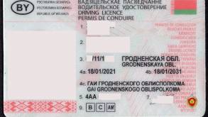 В Гродно сотрудники ГАИ задержали молодого парня с поддельными правами: документ был распечатан на струйном принтере