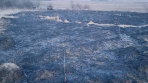 Штраф до 30 «базовых»: на выходных в Гродненской области зарегистрированы первые случаи палов сухой травы
