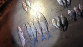 Для жителя Слонимского района рыбалка закончилась уголовной статьей