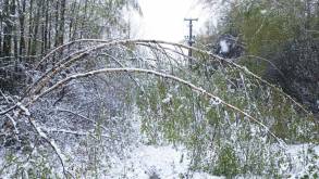 Апрельский снег добавил хлопот: энергетики восстанавливают электроснабжение в Гродненской области