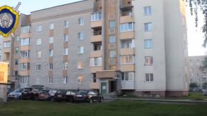 Пока мама была в магазине: в Волковысском районе из окна выпал 6-летний ребенок
