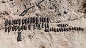 В лесу под Волковыском нашли гранаты и снаряды времен войны