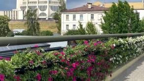 Старый мост в Гродно полностью стал цветочным: смотрите, как украсили его на лето