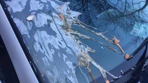 В Гродно женщина разбила яйца об автомобиль и оставила записку с угрозами: в конфликте соседей разбиралась милиция
