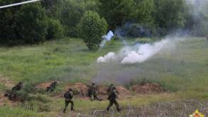 Военные в ходе проверки отработают прикрытие госграницы на западном от Гродно направлении
