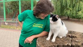 Вместо зарплаты – миска мяса: как кошка работает в зоопарке Гродно