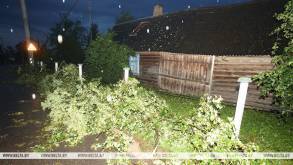 «10 минут ветра, в окно глядим - а крыш на домах уже нет»: что пережили жители Зельвенского района минувшим вечером