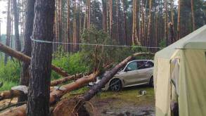В МЧС рассказали о последствиях ураганного ветра в Гродненской области