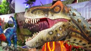 Открытие новых магазинов и выставка динозавров в ТРК TRINITI