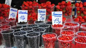 В белорусской налоговой рассказали, кто должен платить налоги за сбор грибов и ягод в лесу