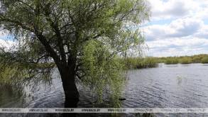 Жительница Волковысского района утонула в реке Россь: СК проводит проверку