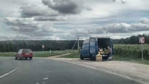 В десяти районах Гродненской области в проверенных дынях обнаружены нитраты