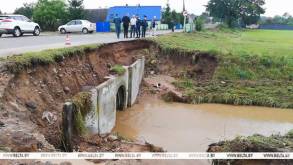 В Гродненской области устраняют последствия ночной непогоды