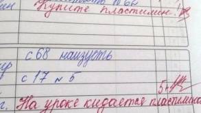 Белорусы попросили полностью отменить бумажные школьные дневники. Что ответило Министерство образования?