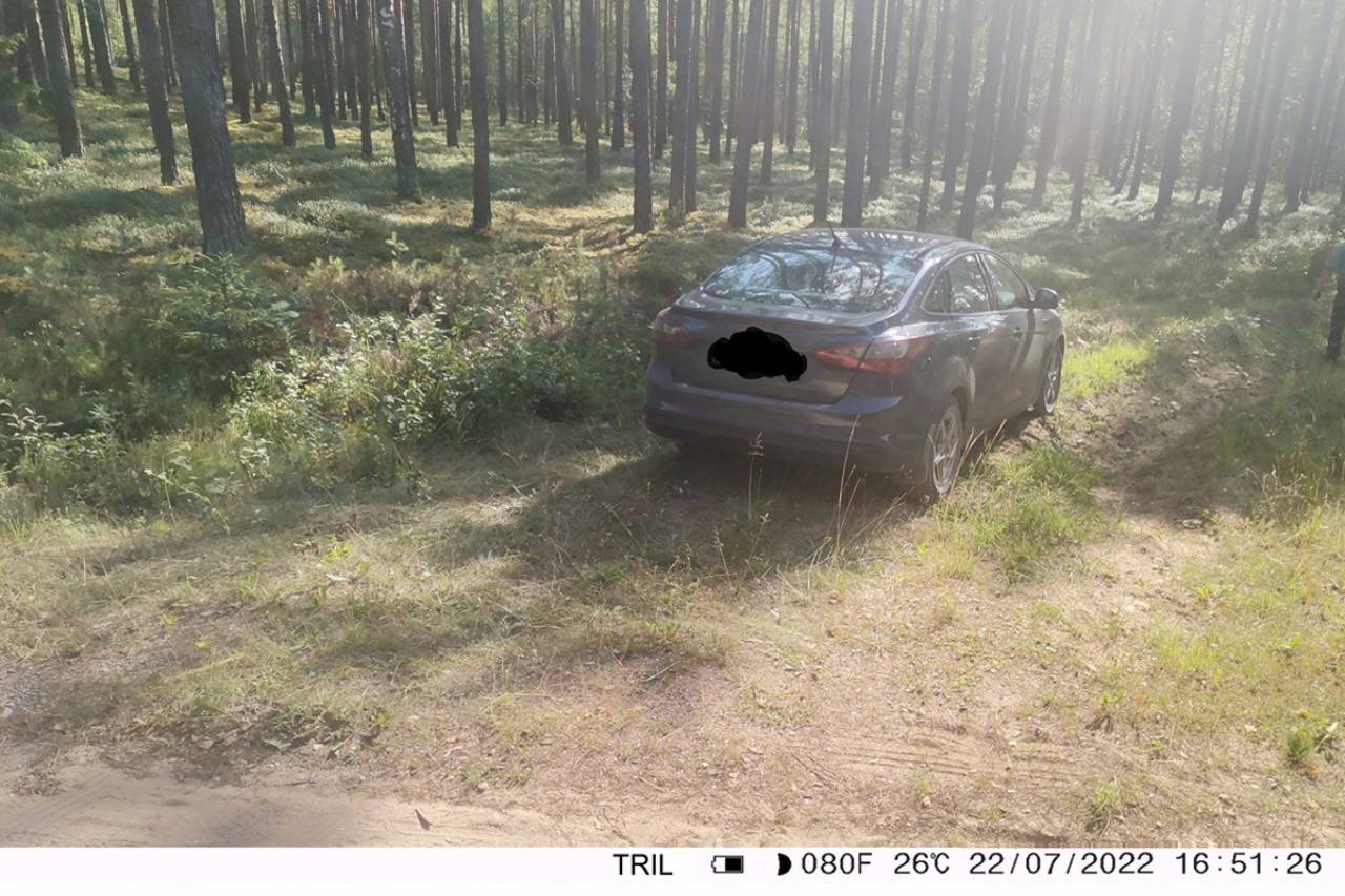 В Гродненской области водители заехали в лес во время запретов и попались на фотоловушки. Что им за это было?