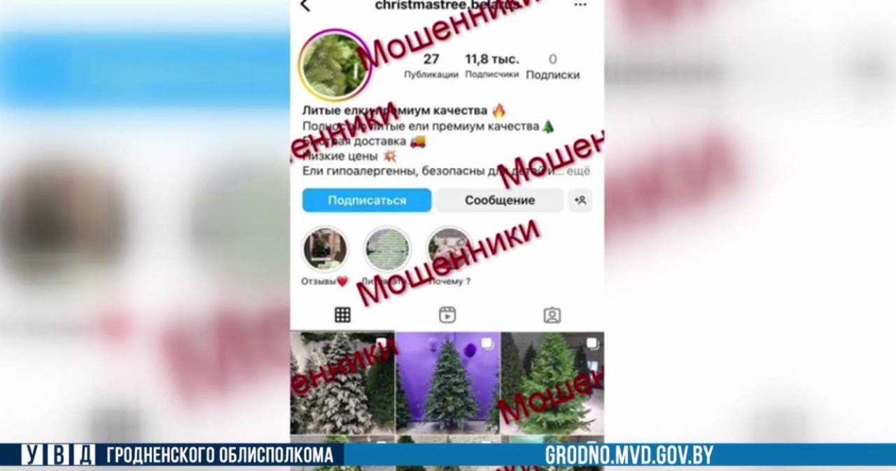 В Гродно активизировались «елочные» мошенники: три человека уже стали их жертвами