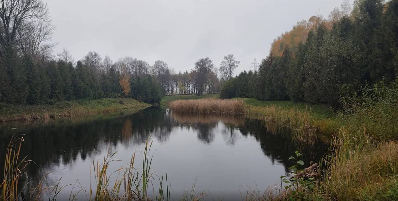 Власти Свислочского района запретили плавание на лодках в нескольких прудах