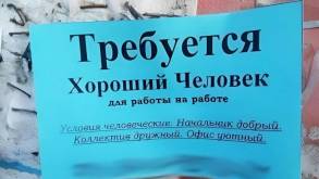 «Удержание сотрудников и увеличение бюджета на зарплаты». Что ждет рынок труда Беларуси в 2024 году