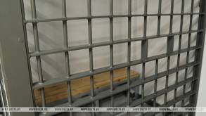 Более 11 лет тюрьмы и штраф: в Гродно вынесен приговор закладчице