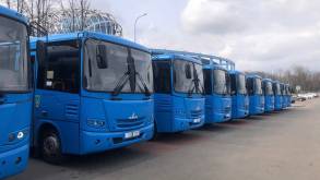 «Гроднооблавтотранс» приобрел сразу 14 новых автобусов, которые будут работать на пригородных маршрутах по всему региону