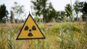 Могильник радиоактивных отходов могут построить в Гродненской области